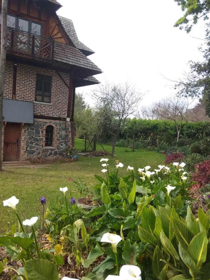 Fleur Bleue & The Timber Frame Bed & Breakfast Heidelberg  Dış mekan fotoğraf